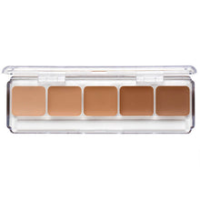 RCMA Series Favorite Palette