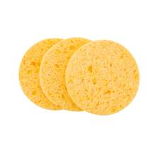 Artist Select Natural Cellulose Sponge (3 pack)