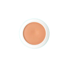 Kryolan Dermacolor Camouflage Creme