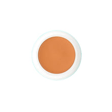 Kryolan Dermacolor Camouflage Creme