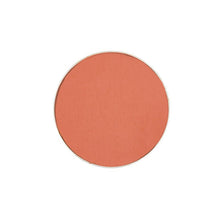 Mehron Paradise Makeup AQ Pro Refills