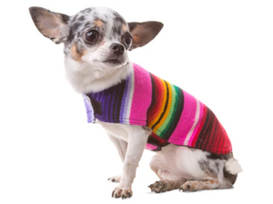 Baja Poncho Mexican Serape Blanket (Pink)