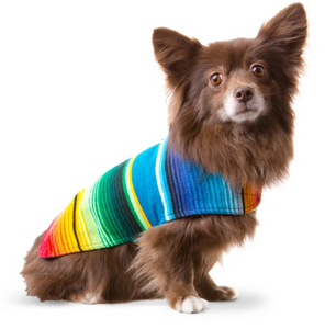 Baja Dog Poncho (Blue)