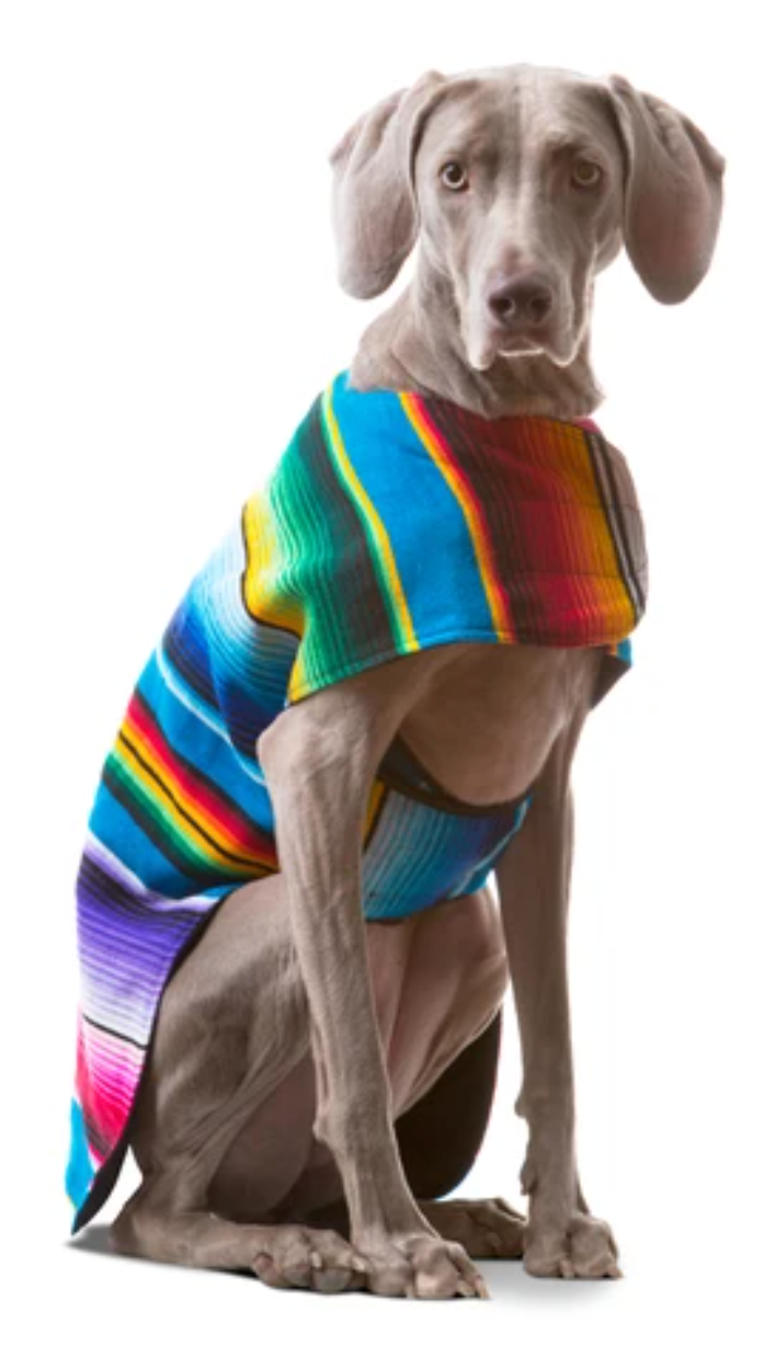 Baja poncho discount dog