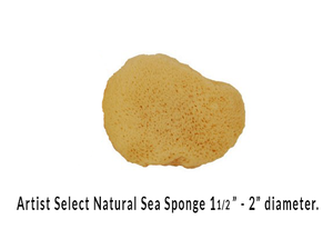 Artist Select Natural Sea Sponges