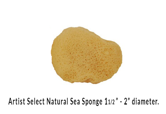 Natural Ocean Artist Sponges